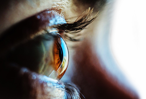 vision